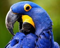 ramdisk_crop_175724336_TJ3Lva